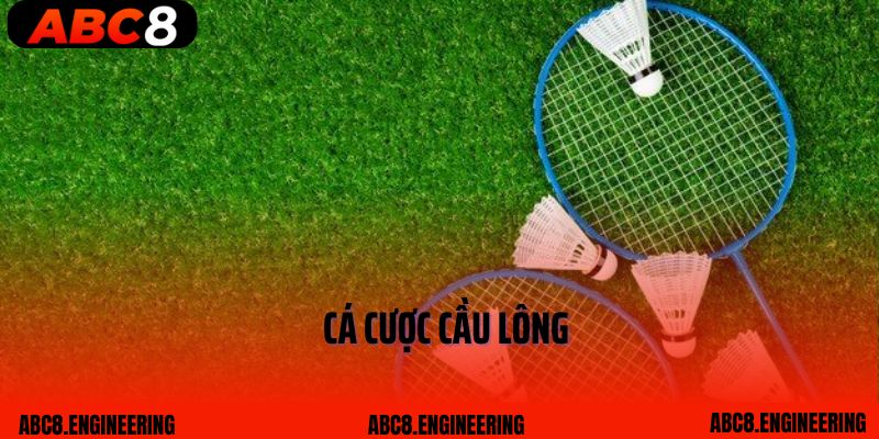 Cá cược cầu lông